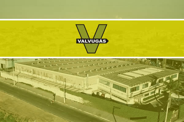Assistência Técnica Autorizada Valvugás